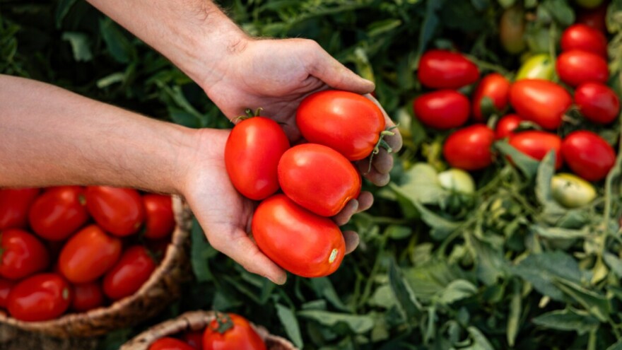 U e-savjetovanju je Prijedlog pravilnika o provedbi intervencije 77.04.