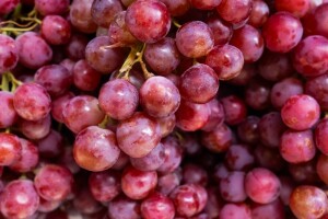 Određivanje šećera u moštu