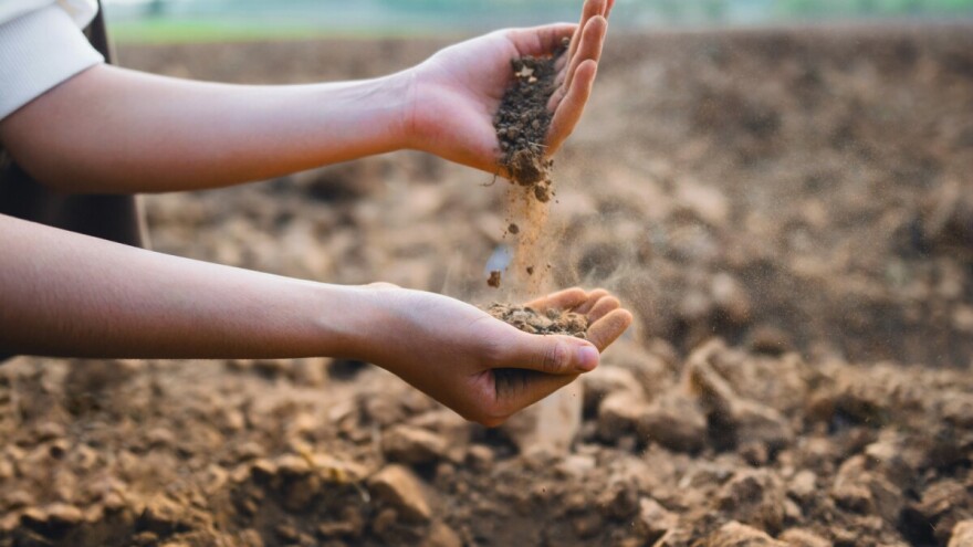 Na Svjetski dan tla još smo daleko od ciljeva očuvanja ovog temeljnog resursa