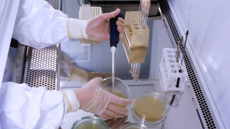 Dvoje kineskih državljana optuženo za agroterorizam - krijumčarili opasan patogen u SAD?