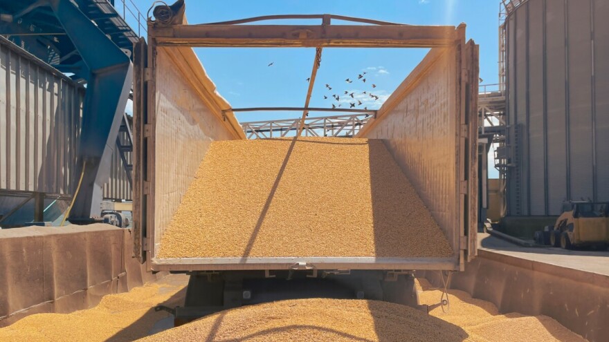 Minić: Razmotrit ćemo inicijativu o uvođenju zaštitnih mjera pri uvozu pšenice