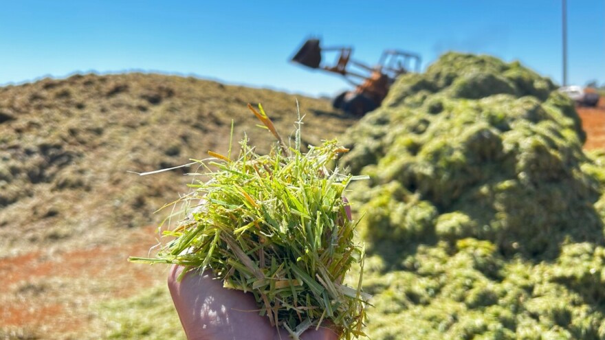 Zabrinjavajuće: Silaža i slama ove sezone imaju visok rizik od mikotoksina