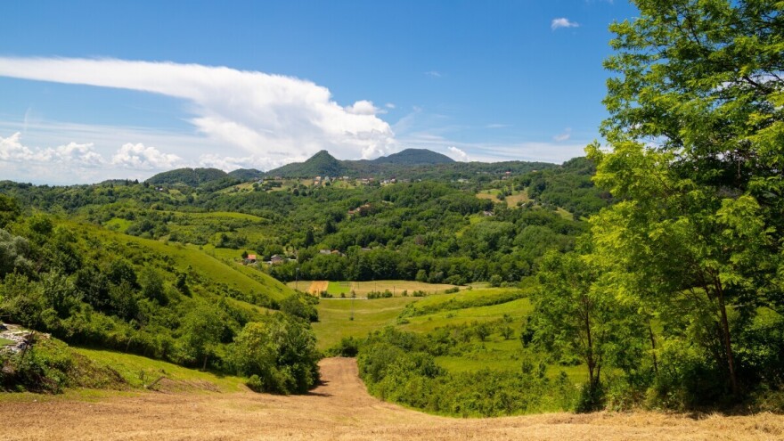 Ako vam je šuma unutar zaštićenog područja imate pravo na kompenzaciju