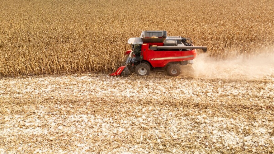 Početak septembra doneo usporavanje rasta cena žitarica