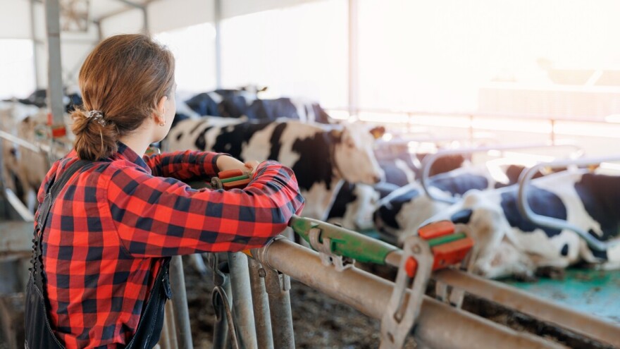 Za pomoć ženama na selu 30 miliona dinara