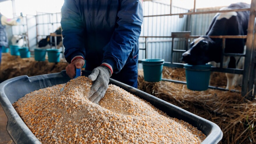 Farmeri traže informacije o aflatoksinu: Pošiljka iz Srbije bila nezadovoljavajuća