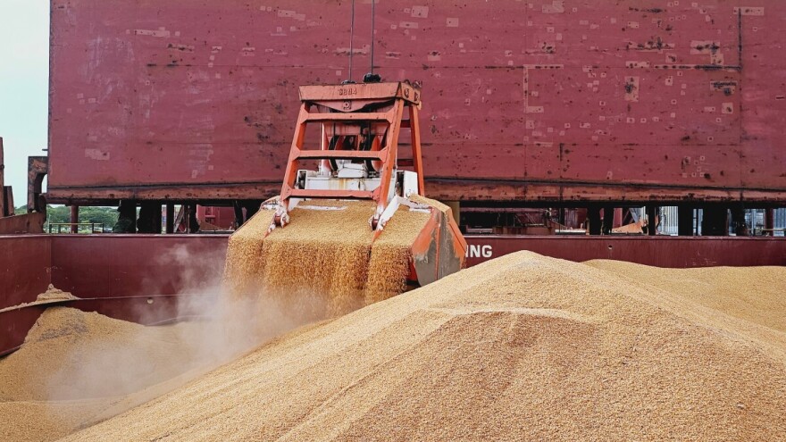 Najviše se trgovalo kukuruzom, uz slabiju aktivnost izvoznika