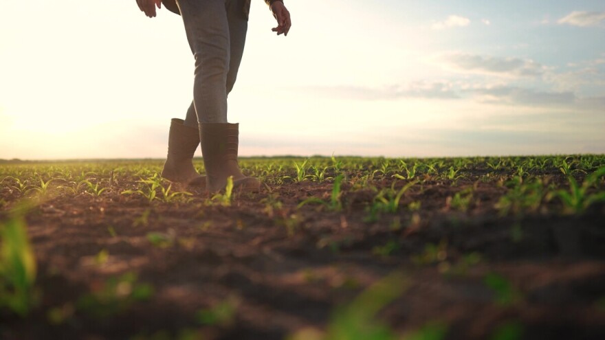 Griješe li Hrvati koji kupuju poljoprivredno zemljište?