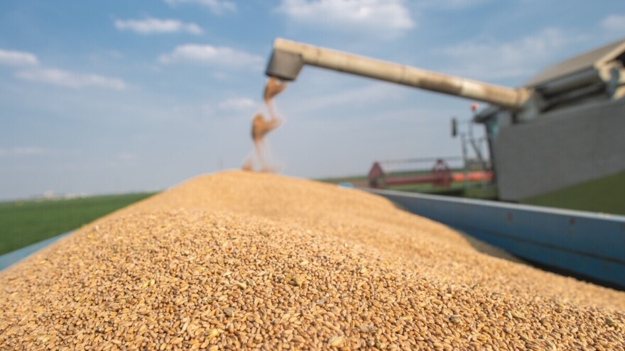 Padaju cijene na burzi: Najslabija žetva pšenice u Europskoj uniji u posljednjih 6 godina