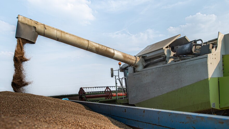 Traje žetva u Posavini - kakvi su prinosi i kvaliteta?