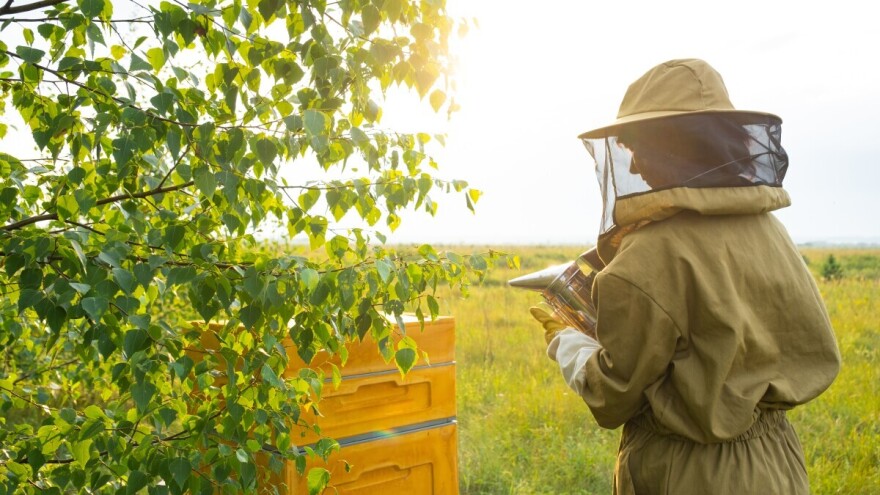 Prijavite se na 9. međunarodni kongres o pčelarstvu u Sarajevu