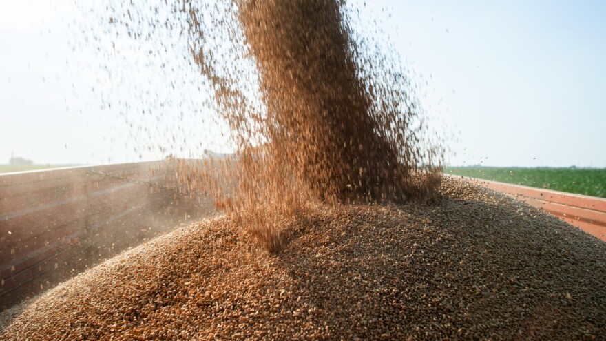 Otkupna cijena od 0,35 pfeninga nije dovoljna za opstanak proizvodnje pšenice, upozoravaju ratari