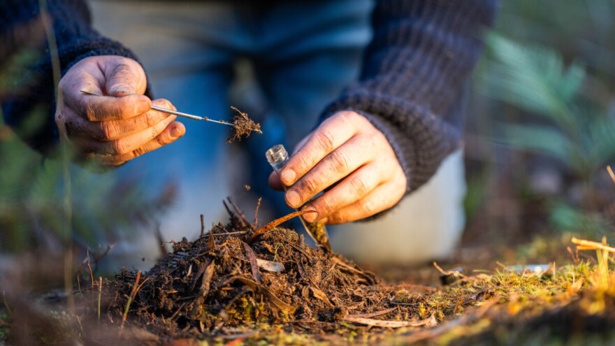 Analiza tla je prvi i nezaobilazni čimbenik za uspjeh