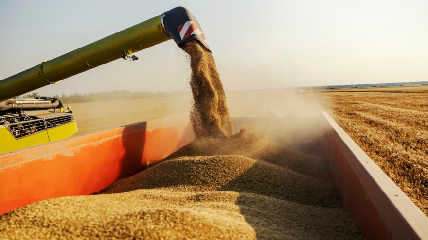 Zadružni savez Vojvodine: "Proizvođačka cena pšenice novog roda 26,04 din/kg"