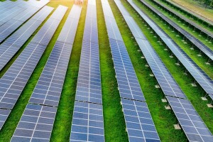 Prvi agrosolarni projekat na Balkanu: Proizvodnja struje na više od 700 hektara