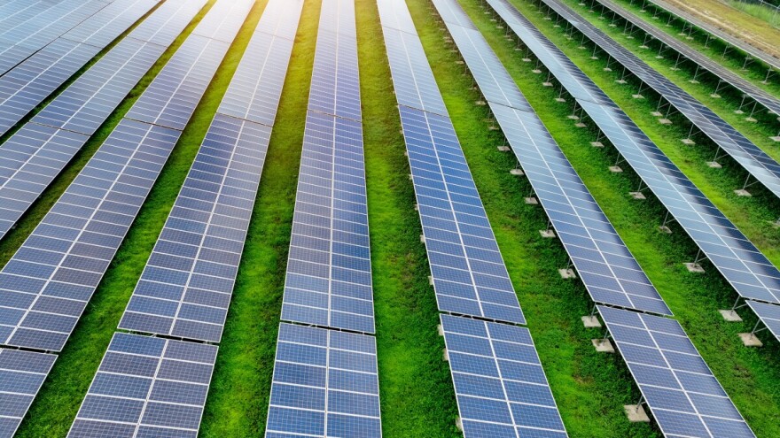 Prvi agrosolarni projekat na Balkanu: Proizvodnja struje na više od 700 hektara u Kuli