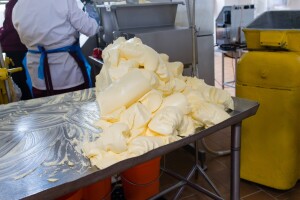 Maslac u fokusu proizvodnje bh. mljekara: Rast u cijeloj BiH
