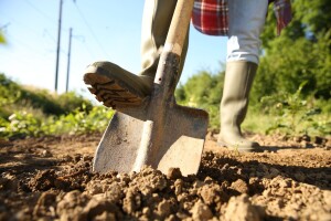 Je li Europska unija uzalud potrošila 12 milijardi eura za potpore eko uzgoju?
