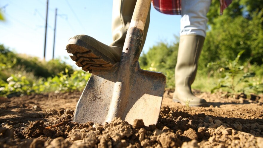 Je li Europska unija uzalud potrošila 12 milijardi eura za potpore eko uzgoju?