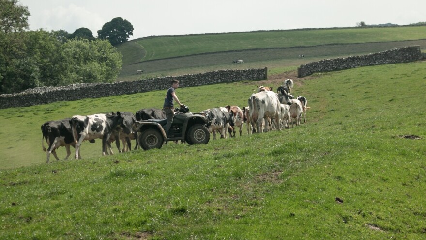 Milijun eura za unaprjeđenje uvjeta stanovanja mladih obitelji u ruralnim područjima