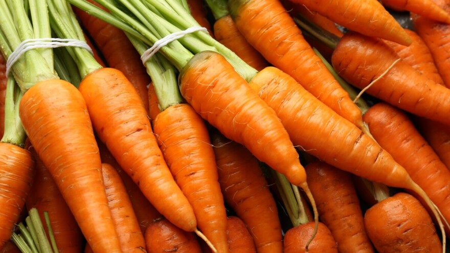 Mrkva u zimskom uzgoju