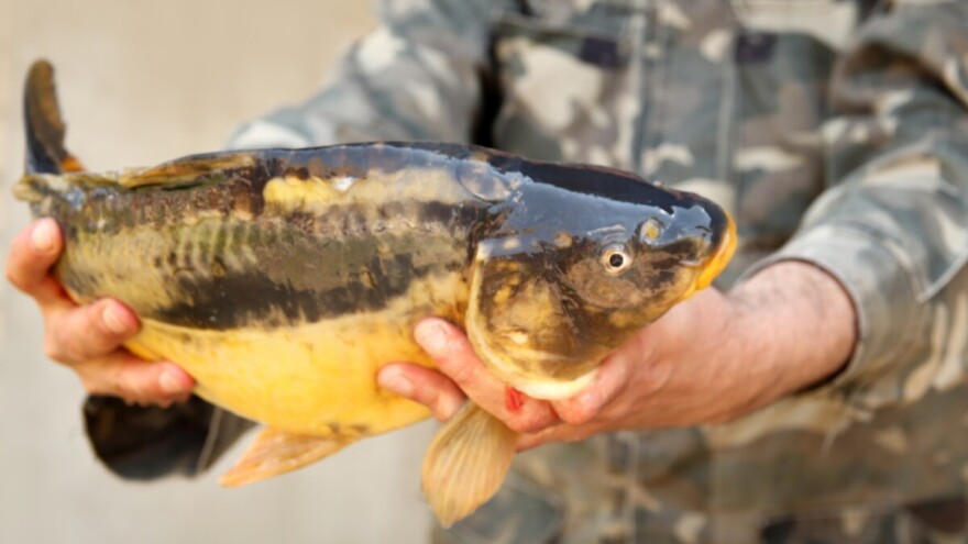 Gradu Ozlju isplaćeno 4,3 milijuna kuna za pročišćivač