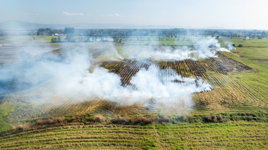 Višestruka šteta: Paljenje strništa najlošiji je mogući odabir
