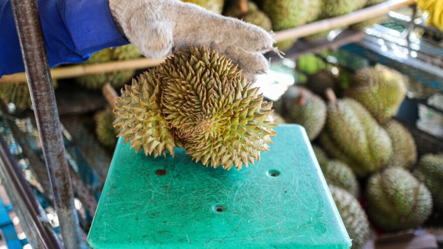 Tradicionalne lidere na tržištu svježeg voća istiskuju durian i borovnice