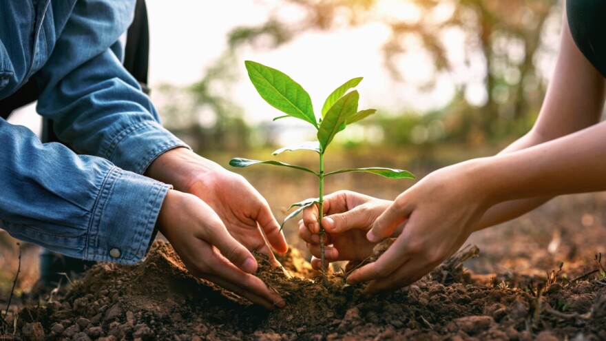 Instant "uradi sam" analiza tla