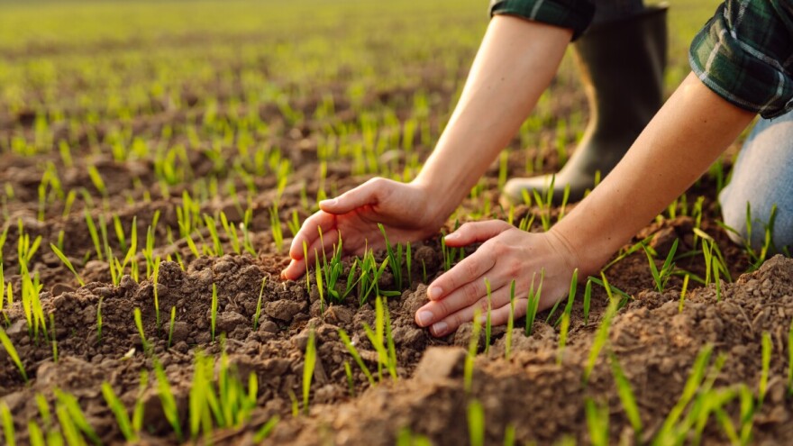 Žetvar, cvetanj, šumopad - stari su narodni nazivi meseci. Da li važe i danas?