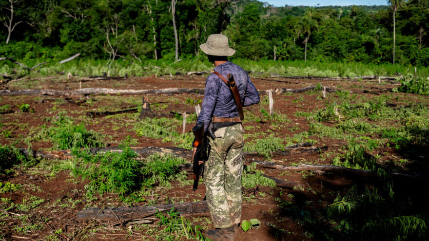 Živimo u sojalizmu - klimatskoj i ekološkoj krizi, a kolonijalizam je živ i zdrav