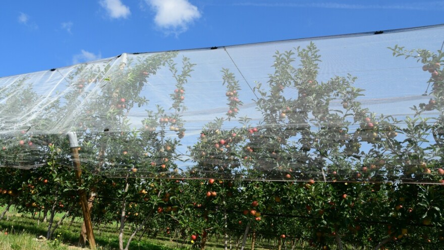 Mraz na Sokocu podsjetio na ranu jesen, ali predstoji natprosječno toplo vrijeme