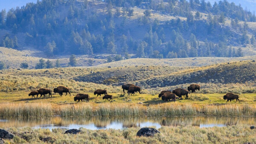 Prodaje se legendarni ranč za 85 milijuna dolara