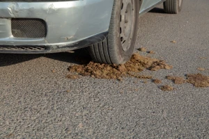 Zakonom žele doskočiti dosljenicima iz gradova kojima smeta miris balege i kukurikanje