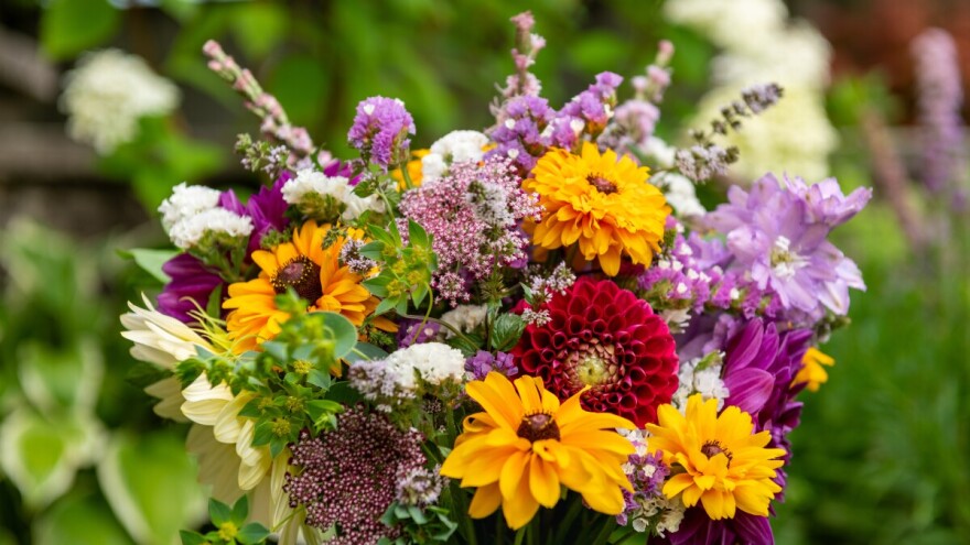 Flora centrum mundi u Ludbregu