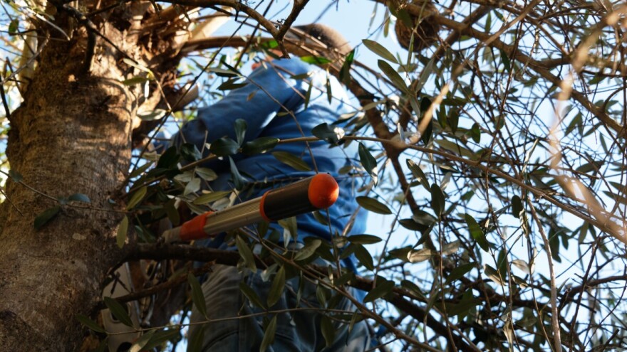 Tri posto novca za 40% poljoprivrednika. Kako bi bilo kad bi organizirali sustav drukčije?