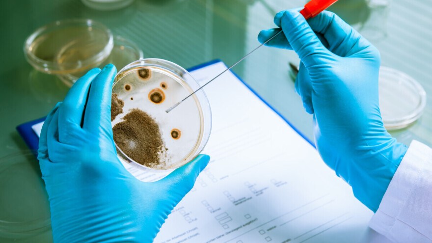 Stručnjaci demantiraju FBI u slučaju optuženih kineskih naučnika: Nije riječ o agroterorizmu