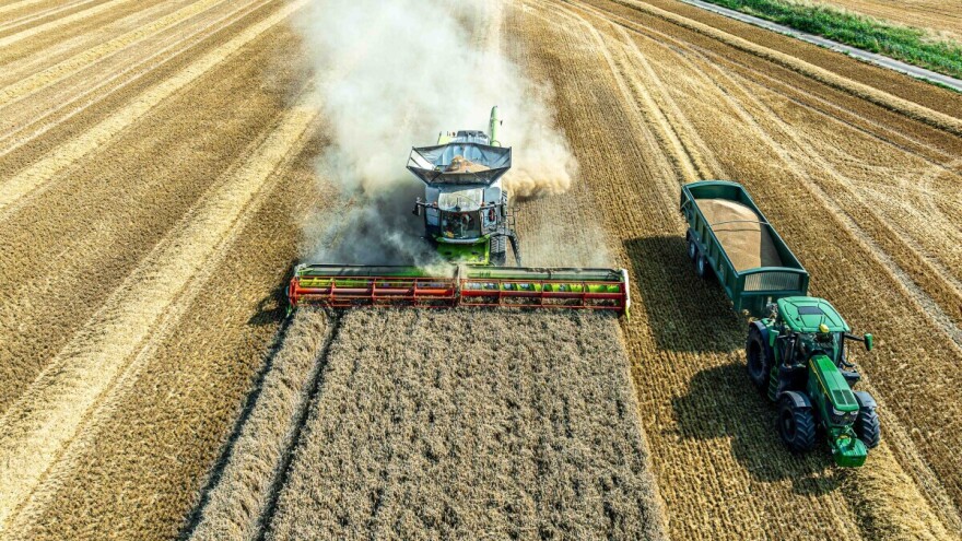 Proizvodnja pšenice u SAD-u na historijski niskom nivou