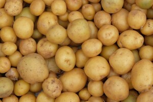 Sadnja, uzgoj krumpira i primjena Plants Protector Thiofera