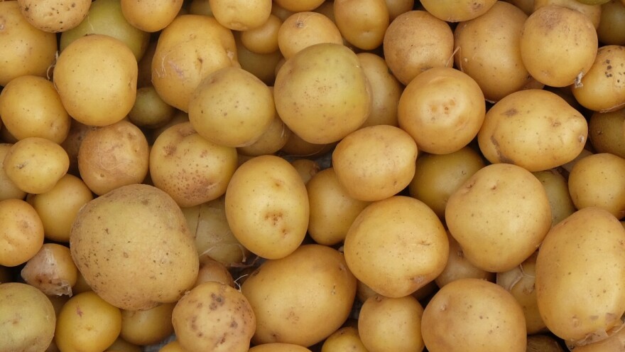 Sadnja, uzgoj krumpira i primjena Plants Protector Thiofera