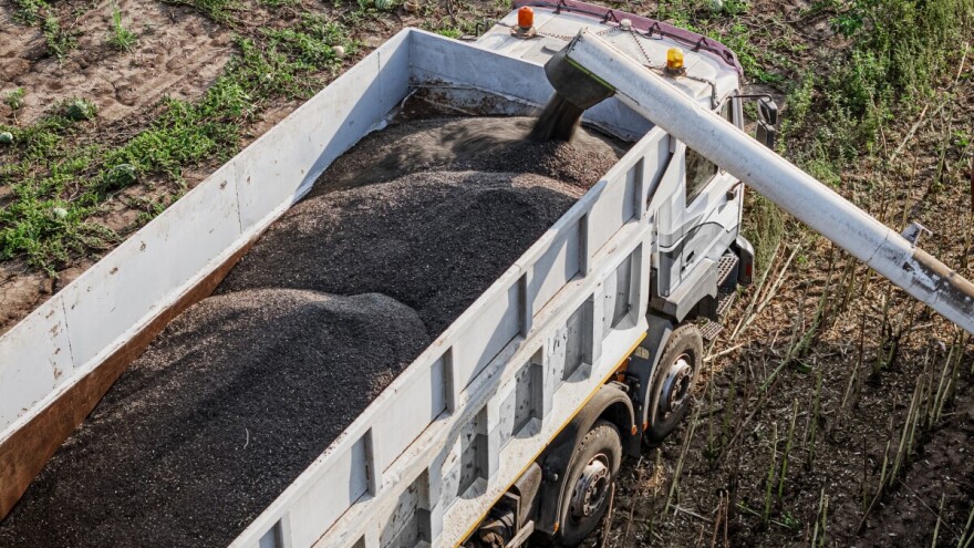Suncokret najtraženiji na Produktnoj berzi: sve količine rasprodate