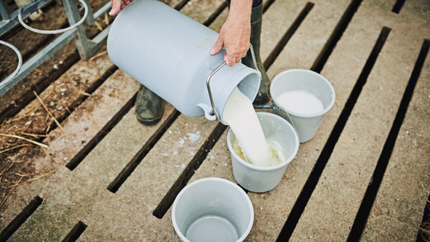 Nezadovoljni proizvođači 4. jula prosipaju tri tone mleka u Gruži