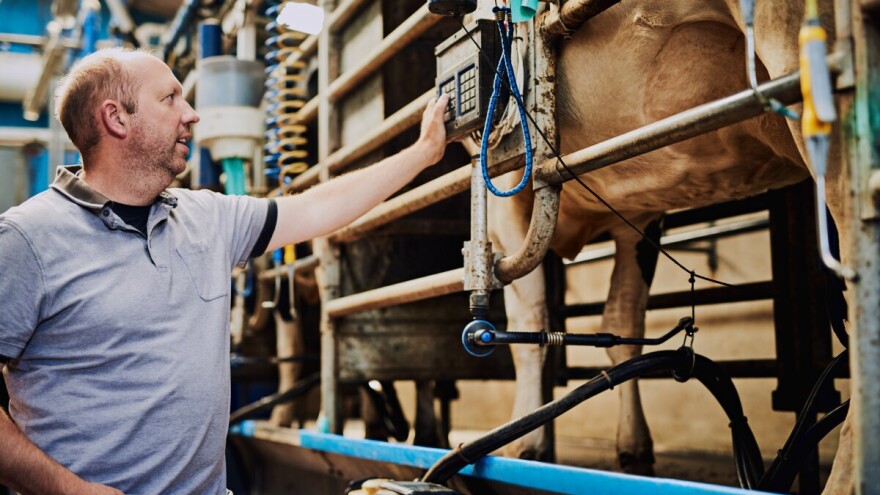 Kako do potpore za obnovu narušenog potencijala u sektoru proizvodnje mlijeka?
