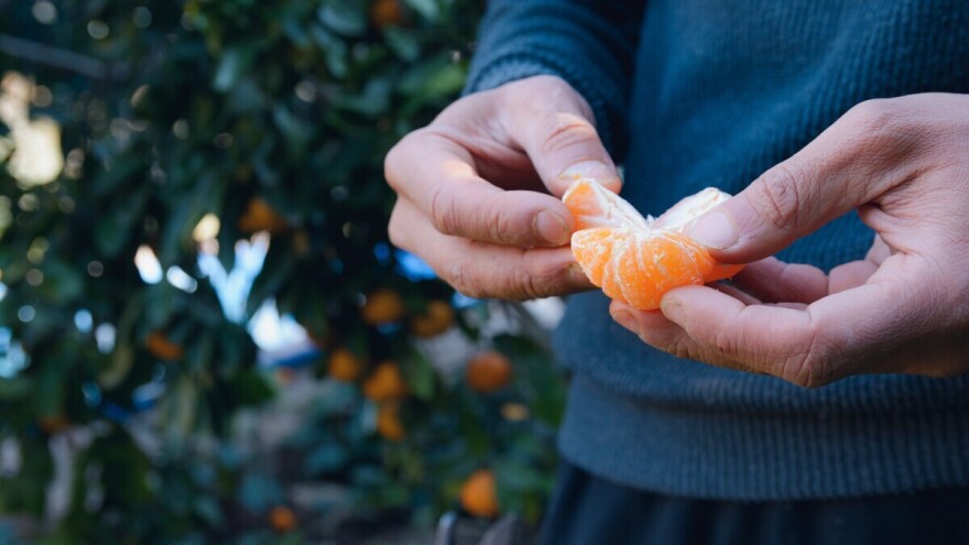 Je li tačno da agrume ne bi trebali jesti za doručak?