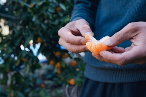 Je li točno da agrume ne bi trebali jesti za doručak?