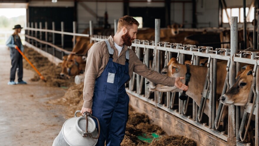 TISUP: Otkupne cijene mlijeka i dalje u blagom padu