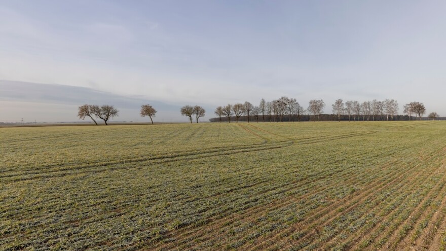 Nema opasnosti od dugotrajnije golomrazice