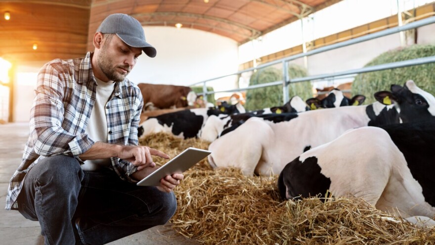 Mladi poljoprivrednici, pokušaj drugi. Što je bilo loše u poništenom natječaju?