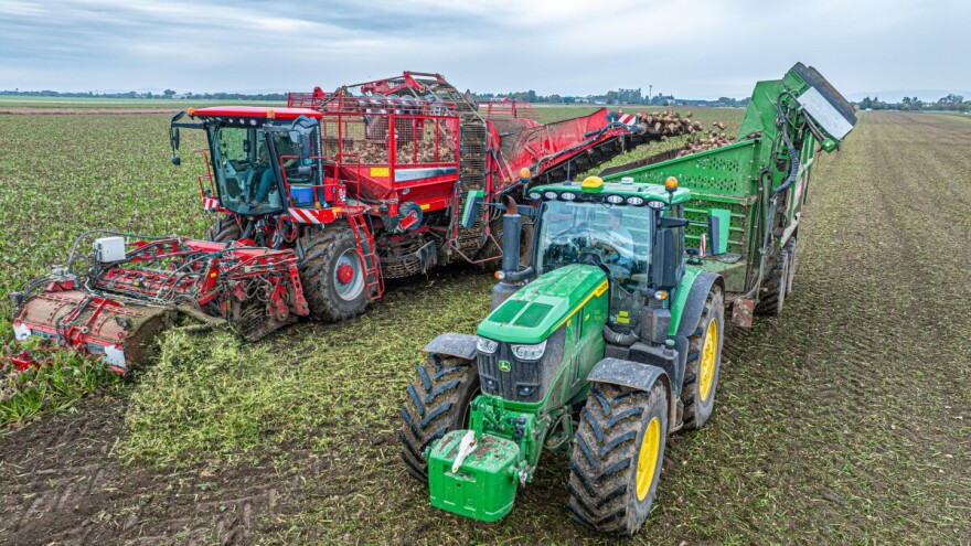 Više proizvođača, manje površina trend je u hrvatskoj proizvodnji šećerne repe