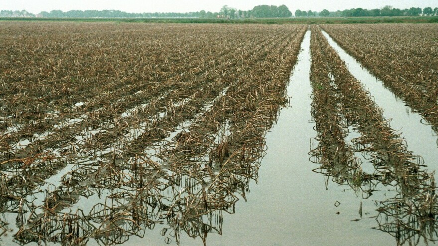 Štete u poljoprivredi od 343 milijuna eura, Vlada sanira s 1,3 milijuna eura?